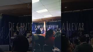 rupatrupa- árboles en el tejado