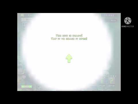 hatching and placing Rare Shellbeat