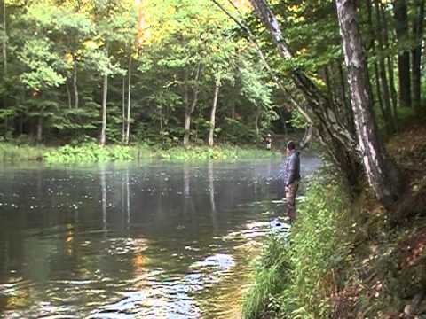 Mörrum 95 cm. seatrout fight september 2010