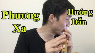 Hướng dẫn Thổi Sáo Phương Xa ( OST Lương Sơn Bá Chúc Anh Đài ) Cực Kì chi tiết - Alex Tú
