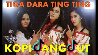 Download lagu KOPI DANGDUT TIK TOK - TIGA DARA TING TING (TIKTOK KOPLO DJ REMIX 2020) mp3