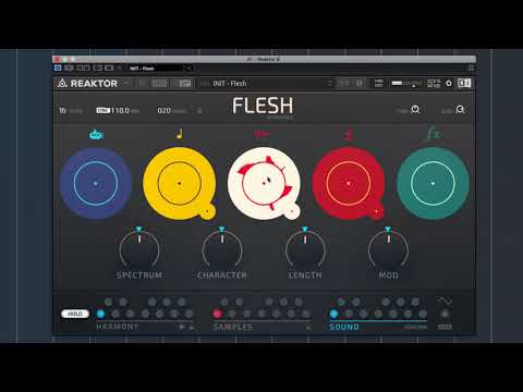 How to: Making deep house using FLESH | Native Instruments