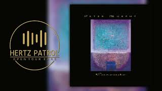 Peter Murphy Mercy Rain 432hz