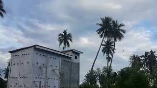 Download lagu SP.TONGKAT MUSA SUPER.BY AHMAD KANI.082254468764 mp3