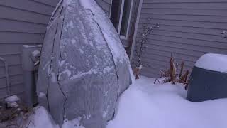 Extremely Cold Garden and Tropical Grow Room Tour