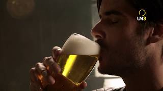 AGREGADOS RECIENTEMENTE - COMERCIAL