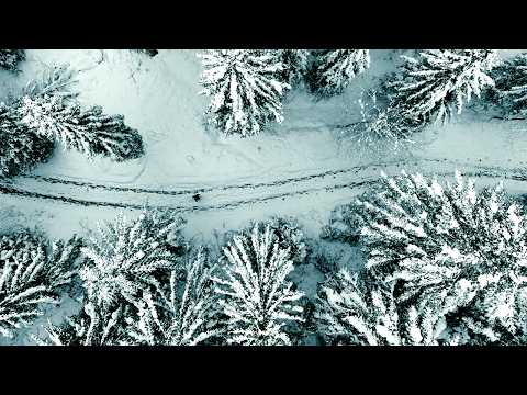 Pure Love (Official Video) - DJ Koze feat. Damon Albarn