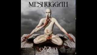Meshuggah- Pineal Gland Optics 13% SLOWER [1080p]