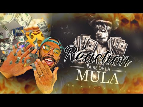 DMReaction : Hoofer x @ElGrandeToto  x Biggy "Faire de la Mula" (Prod by E-tracc)