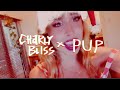 It's Christmas and I Fucking Miss You (feat. PUP)