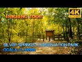 Cinematic Tour Of The Silver Springs Conservation Area Park In Ocala Florida Epic Hiking Trails