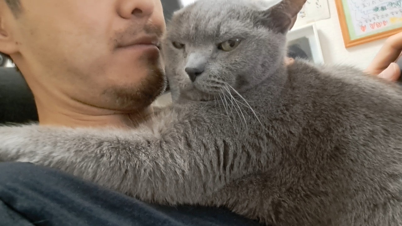 オフのすずまろ