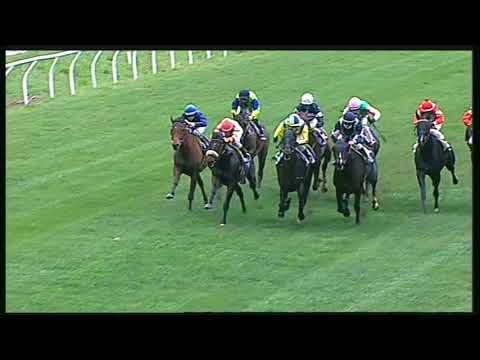 Galoppo 16/11/2020 - 6ª corsa