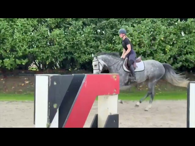 Queen B flatworkvideo