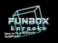 Goldfinger - Here in Your Bedroom (Funbox Karaoke, 1996)