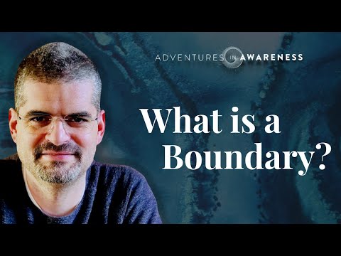 Bernardo Kastrup on Metacognition #2: Integrated Information Theory & Markov Blankets