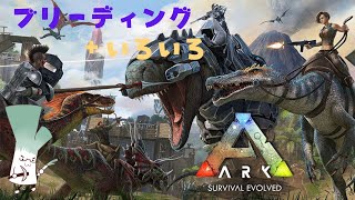 【ARK】中ボス準備！あわよくば中ボス行きたい！【フィヨルド】