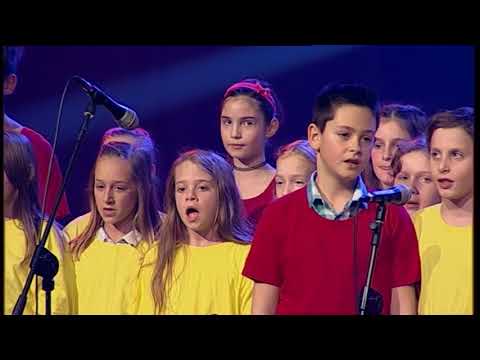 KONCERT ANSAMBEL NAVEZA   10 LET   1 DEL