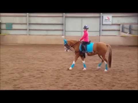 Malu (6) übt einfache Galoppwechsel mit Senna  :´-) am 07.10.2015