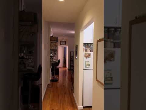 video 1