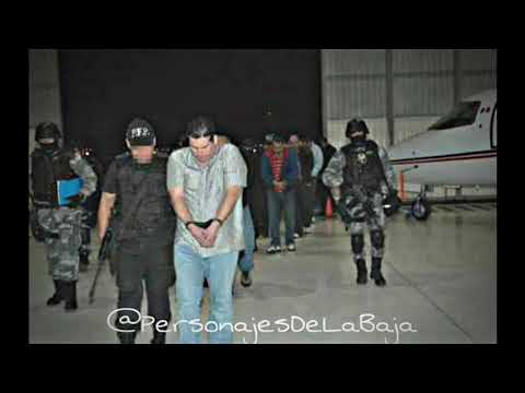 Mario Y Sus Lincez Boys  Victor Escobar