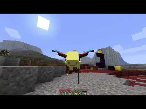 Minecraft Elytra Clutches