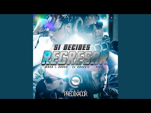 Si Decides Regresar