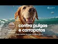 Antipulgas e Carrapatos Wellpet 100mg Cães 4,6 a 10 kg c/1 Antipulgas e Carrapatos Wellpet 100mg Cães 4,6 a 10 kg c/1