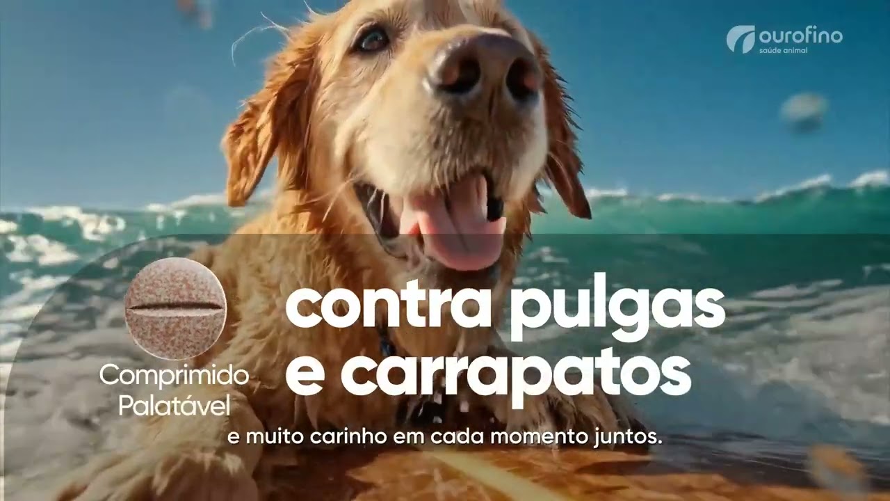 thumbnail video youtube