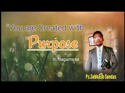 You Are Created With Purpose|| In Nagamese.