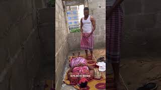 Unusual Princesses make it happen