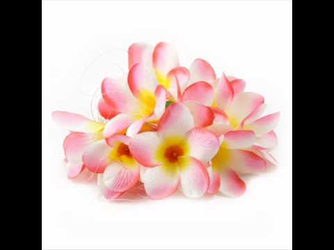 Rescue Brothers - Ko biuti au tu