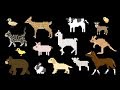 Baby Animals Cute Puppy Kitten Piglet Duckling More The Kids Picture Show