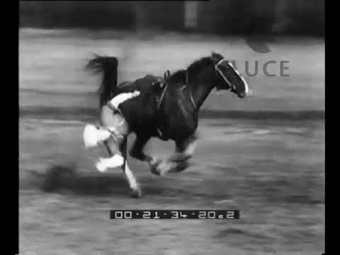 1934 Kuban Cossacks Demonstration