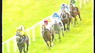1998 - Curragh - Tattersalls Gold Cup - Daylami 1998 - Curragh - Tattersalls Gold Cup - Daylami