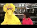 BBC News Sesame Street 039 S Big Bird Back In US Politics