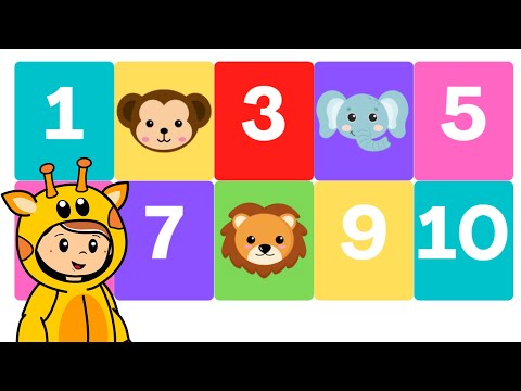 Sequência numérica - Números de 1 a 20 - Qual é o número - Atividade para crianças - Vídeo educativo