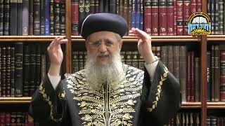 Maran HaRishon LeZion Rabbi David Yosef - Parashat Chukat: First Faith - Then Understand (מוסדות יחווה דעת) - התמונה מוצגת ישירות מתוך אתר האינטרנט יוטיוב. זכויות היוצרים בתמונה שייכות ליוצרה. קישור קרדיט למקור התוכן נמצא בתוך דף הסרטון