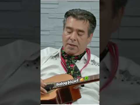 Balogh József 2023 (Brutális hallgato) #iratkozzfel 🔥🥃