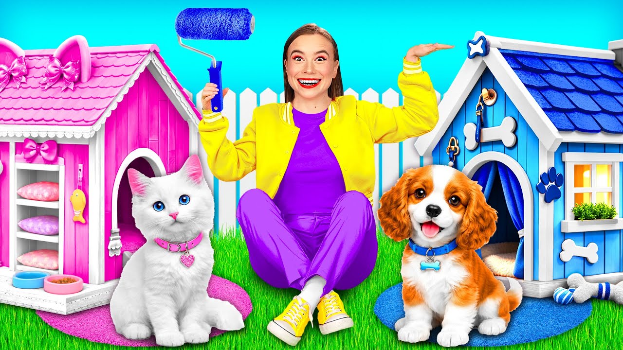 私たちはペットのためのハウスを建てます | 面白いシチュエーション BaRaFun Challenge