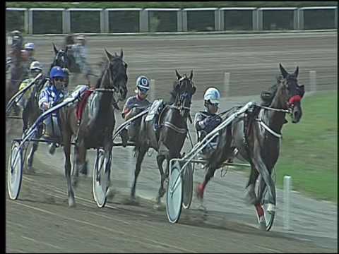 Trotto 16/09/2016 - 1ª corsa