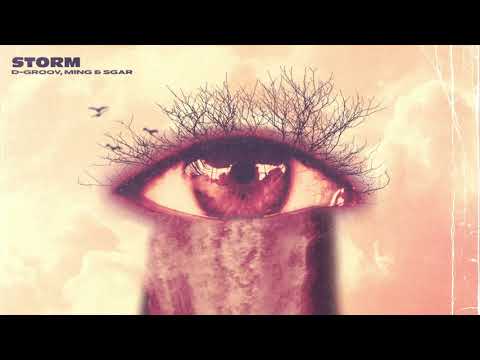 D-Groov, MING, SGAR - Storm