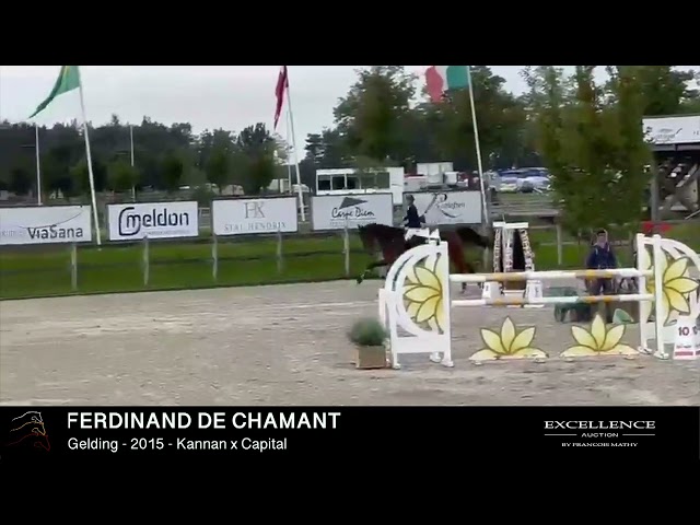 FERDINAND DE CHAMANT - Show