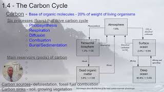 APES - 1.4 The Carbon Cycle