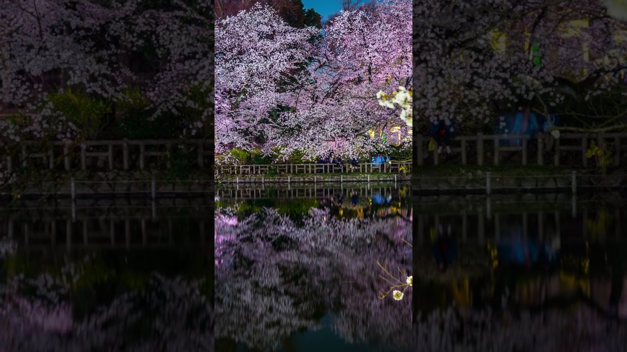 YouTube Short thumbnail