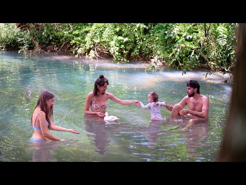 Sommer im Regenwald: Eamon und Bec kommen zu Besuch und wir beginnen mit dem Bau einer neuen Hütte
