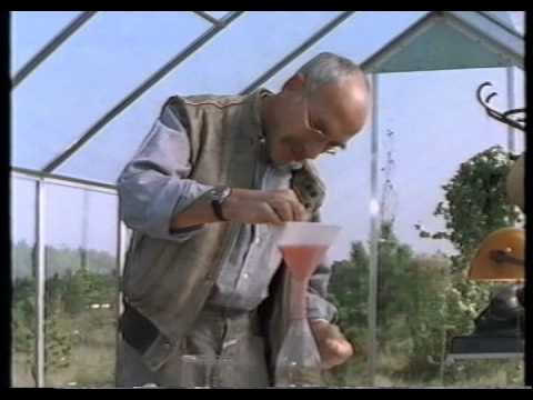 Mittendrin in einem Gewächshaus - Folge 10 Teil 1