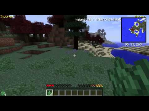 HonneyPlay's Blood n Bones 4 - Chuck Norris your face