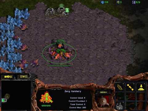 StarCraft (White-Ra) - ЛКИ, матч 1