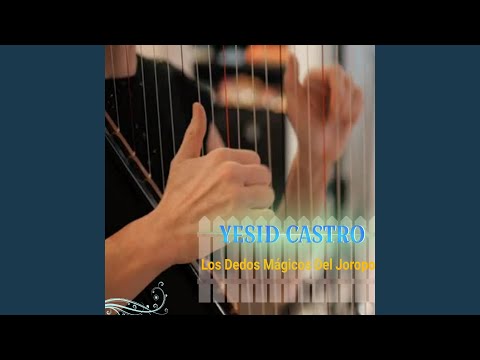 Viajando en el Pajarillo